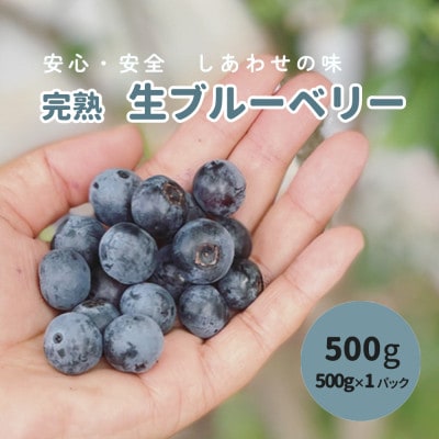「先行予約」完熟新鮮ブルーベリー500g 【産地直送】