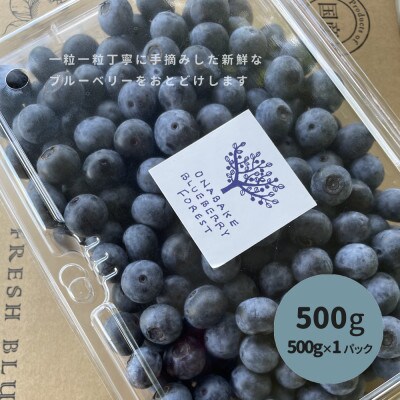 「先行予約」完熟新鮮ブルーベリー500g 【産地直送】