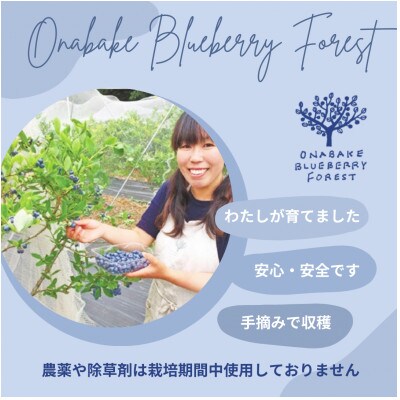「先行予約」完熟新鮮ブルーベリー500g 【産地直送】