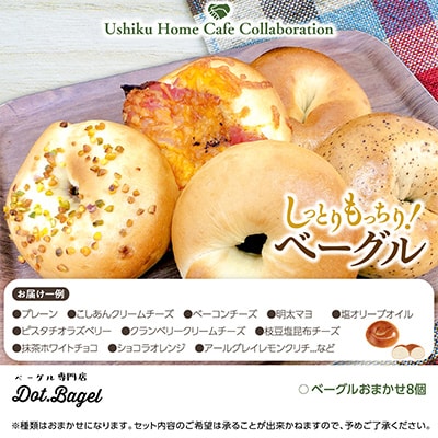 南部珈琲コーヒーバッグ(20個)詰合せ&Dot.Bagelベーグル8個【複数個口で配送】