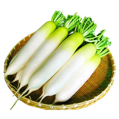 うしく河童大根 (約10kg)