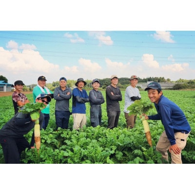 うしく河童大根 (約10kg)