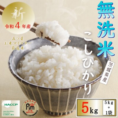令和4年産食べ比べセット ミルキークイーン5kg+無洗米茨城こしひかり5kg 計10kg