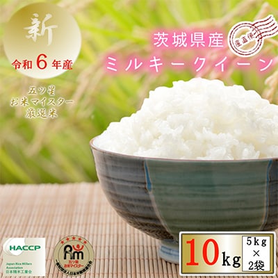 令和6年産　茨城県産ミルキークイーン　精米　10kg(5kg×2袋)