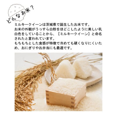 令和6年産　茨城県産ミルキークイーン　精米　10kg(5kg×2袋)