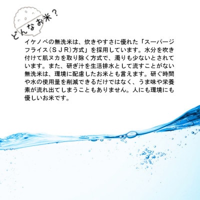 令和5年産 無洗米茨城県産コシヒカリ5kg(5kg×1袋) 精米 | お礼品詳細