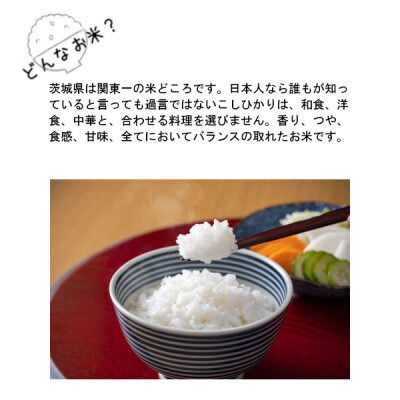 令和6年産　茨城県産コシヒカリ　精米　10kg(5kg×2袋)
