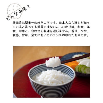 令和6年産　茨城県産コシヒカリ　精米　5kg(5kg×1袋)
