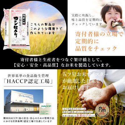 令和7年産　茨城県産コシヒカリ　精米　10kg(5kg×2袋)