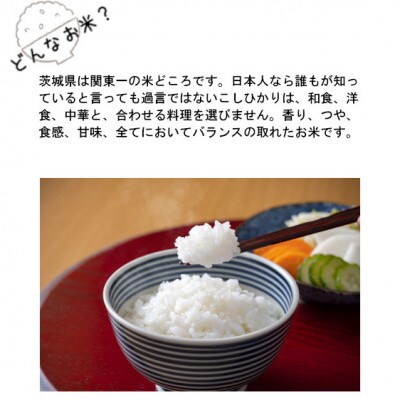 【毎月定期便】令和6年産　茨城県産コシヒカリ5kg全6回