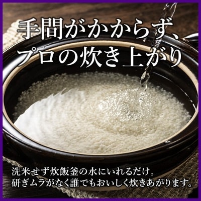 2022年3月発送開始『定期便』令和3年産 無洗米 茨城県産コシヒカリ10kg 全6回