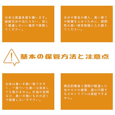 2023年2月発送開始『定期便』茨城県産ミルキークイーン10kg(5kg×2袋)全6回