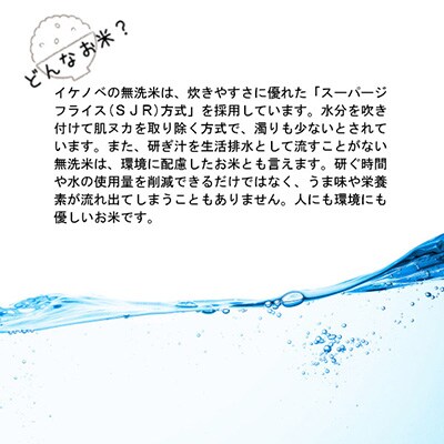 2023年2月発送開始『定期便』無洗米 茨城県産コシヒカリ10kg(5kg×2袋)全6回