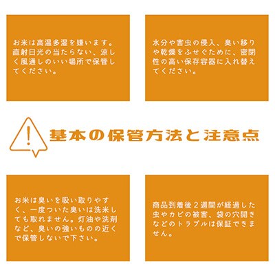 2023年2月発送開始『定期便』無洗米 茨城県産コシヒカリ10kg(5kg×2袋)全6回