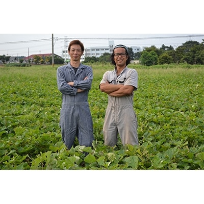 牛久のさつまいも 【安納芋 約5kg】