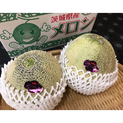 みずほの村牛久店　中根さんのアンデスメロン