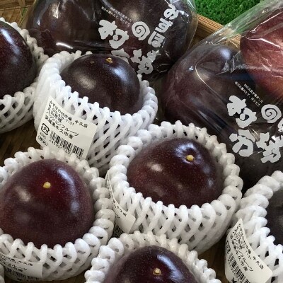 みずほの村牛久店　丸山さんのパッションフルーツ　6個入り