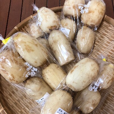 みずほの村牛久店 宮本さんのれんこん お礼品詳細 ふるさと納税なら さとふる