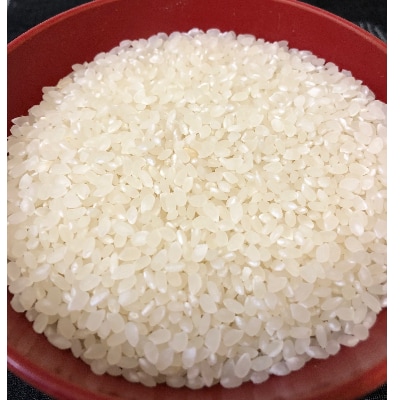 【精米日出荷】みずほの村牛久店　中根さんのこしひかり