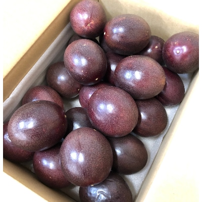 みずほの村牛久店　丸山さんのパッションフルーツ【ご自宅用】　2kg
