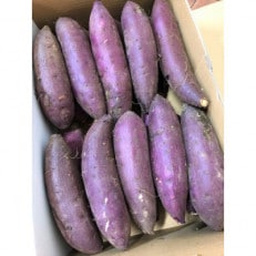 みずほの村市場牛久店のさつまいも「すずほっくり」4.8kg×1箱 | ふるさと納税のお礼品