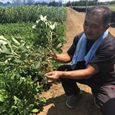 おいしい博物館ゼミナール受講チケット5回分