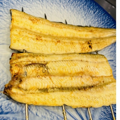 日本料理ひたち野いしざきの国産うなぎ白焼き大サイズ2尾