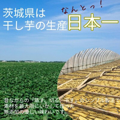 茨城名産干し芋 厳選紅はるか平干し1kg