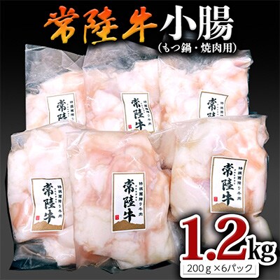 【2023年2月上旬発送】【常陸牛】もつ鍋 焼肉用 小腸1.2kg(200g×6パック)