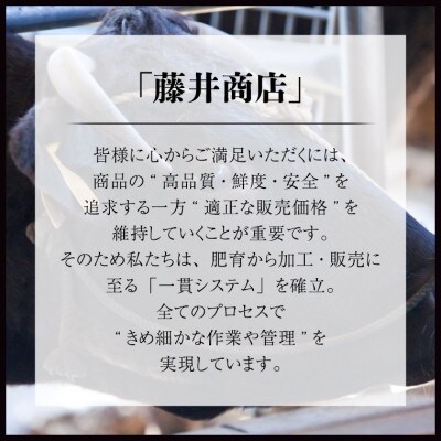 【2023年2月発送開始】【常陸牛】焼肉 ブロック セット 4kg