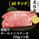 常陸牛(ひたちぎゅう)A5等級 サーロインステーキ　750g(250g×3枚)あらぎりわさび1本付