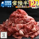 【毎月定期便】【常陸牛】A4ランク以上!切り落とし1kg(500g×2パック)茨城共通返礼品全12回