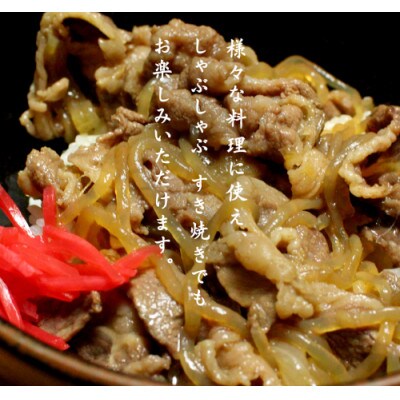 【毎月定期便】【常陸牛】A4ランク以上!切り落とし1kg(500g×2パック) 茨城共通返礼品全6回