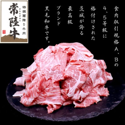 【毎月定期便】【常陸牛】A4ランク以上!切り落とし1kg(500g×2パック)茨城共通返礼品全12回