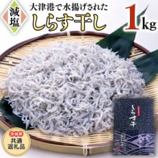 大津港水揚げしらす干し 1kg【牛久市】【茨城県共通返礼品】