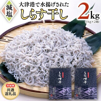 大津港水揚げのしらす干し2kg(1kg×2個)【牛久市】【茨城県共通返礼品】