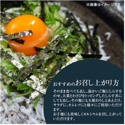 大津港水揚げの 釜揚げしらす 500g(1箱250g×2パック入り)