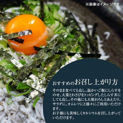大津港水揚げの釜揚げしらす1.5kg(500g×3)