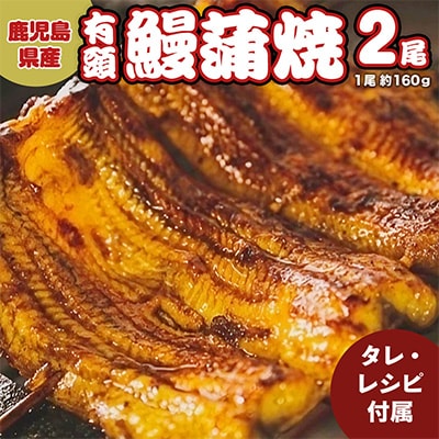 【2024年7月中旬発送】鹿児島県産うなぎ蒲焼　約160g×2尾