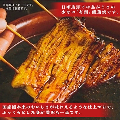 【2024年7月中旬発送】鹿児島県産うなぎ蒲焼　約160g×2尾
