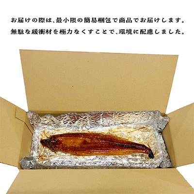 【2024年7月中旬発送】鹿児島県産うなぎ蒲焼　約160g×2尾