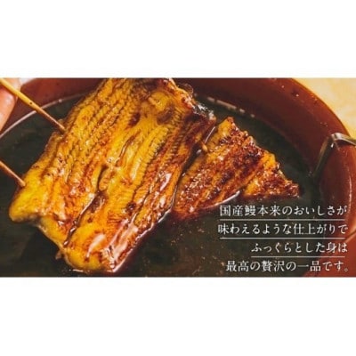 鹿児島県産 きざみ鰻蒲焼 500g (50g×10パック) 冷凍 小分け