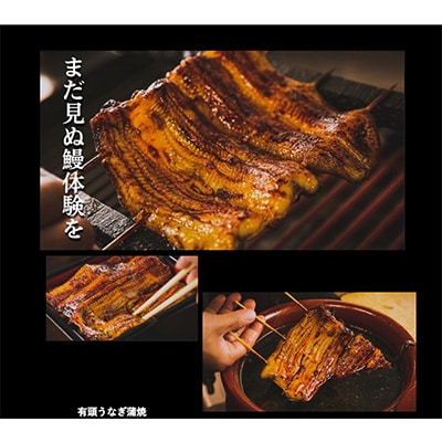 【毎月定期便】鹿児島県産うなぎ蒲焼 135～155g×2尾 全3回