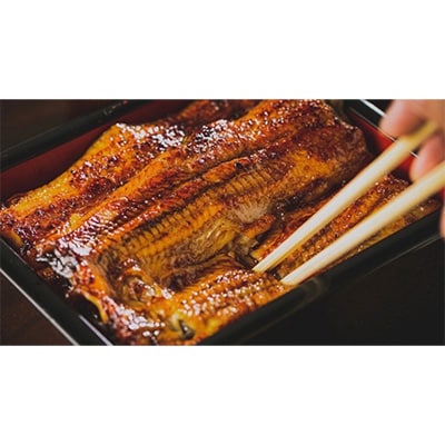【毎月定期便】鹿児島県産うなぎ蒲焼 135～155g×2尾 全3回