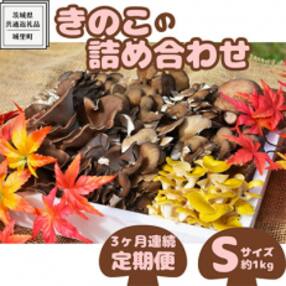 【毎月定期便】きのこの詰め合わせ Sサイズ(約1kg)(茨城県共通返礼品:城里町)全3回