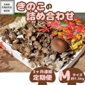 【毎月定期便】きのこの詰め合わせ Mサイズ(約1.5kg)(茨城県共通返礼品:城里町)全3回