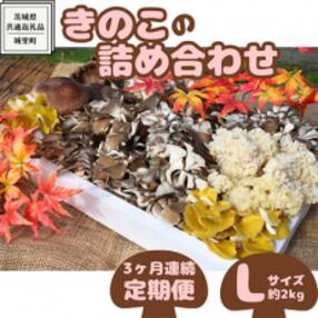 【毎月定期便】きのこの詰め合わせ Lサイズ(約2kg)(茨城県共通返礼品:城里町)全3回