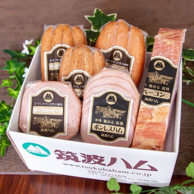 筑波ハム 銘柄豚「常陸の輝き」バラエティ6品(ハム・ベーコン・ソーセージ)【茨城県共通返礼品】