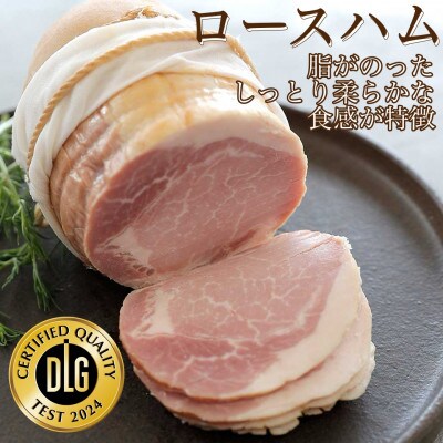 筑波ハム 銘柄豚「常陸の輝き」バラエティブロック7品 【茨城県共通返礼品】