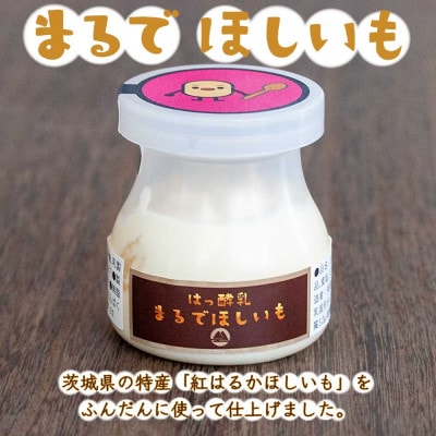筑波ハム まるでほしいも 計6個 (ほしいもクン特製化粧箱入り3個×2箱) 【茨城県共通返礼品】